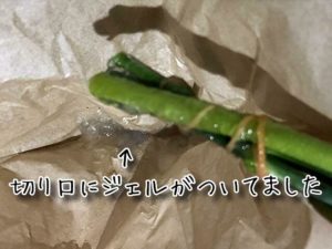 切り口に保水ジェル